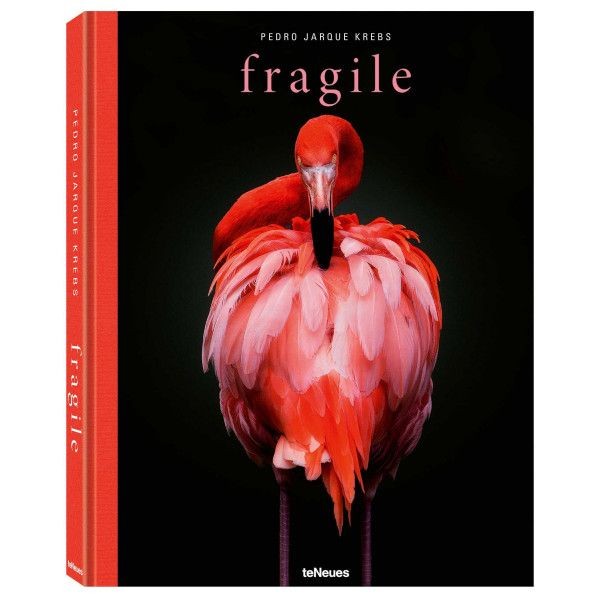 fragile teNeues