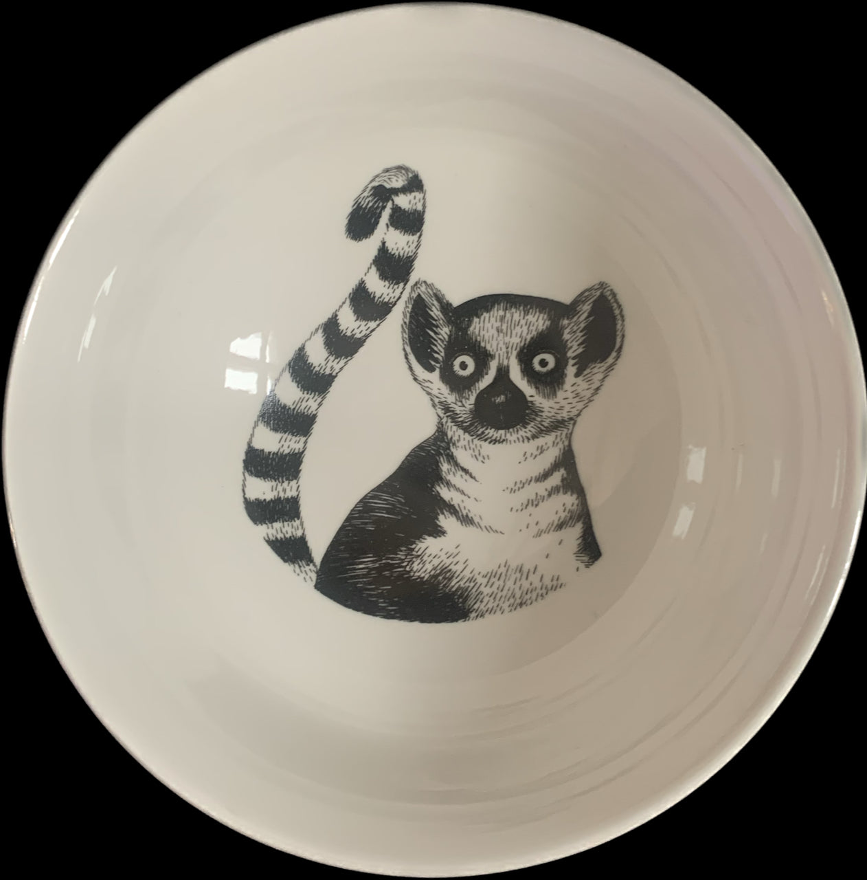 Teller Animal by HetParadijs