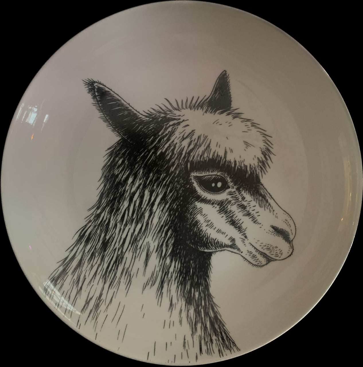 Teller Animal by HetParadijs
