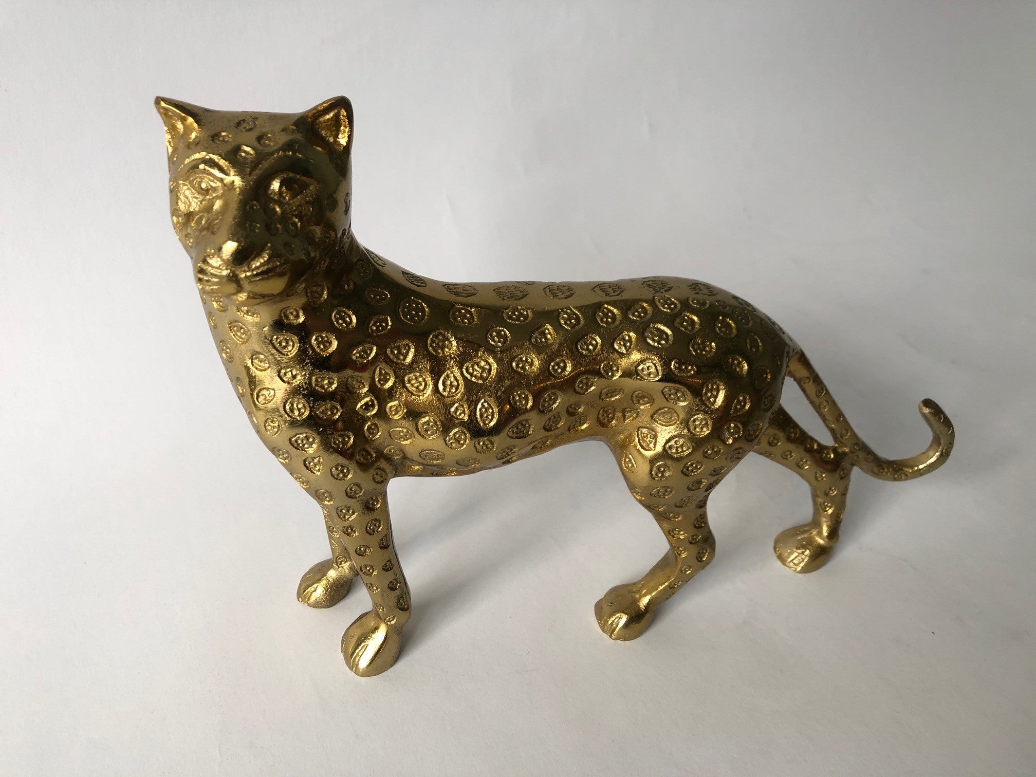 Goldener Leopard