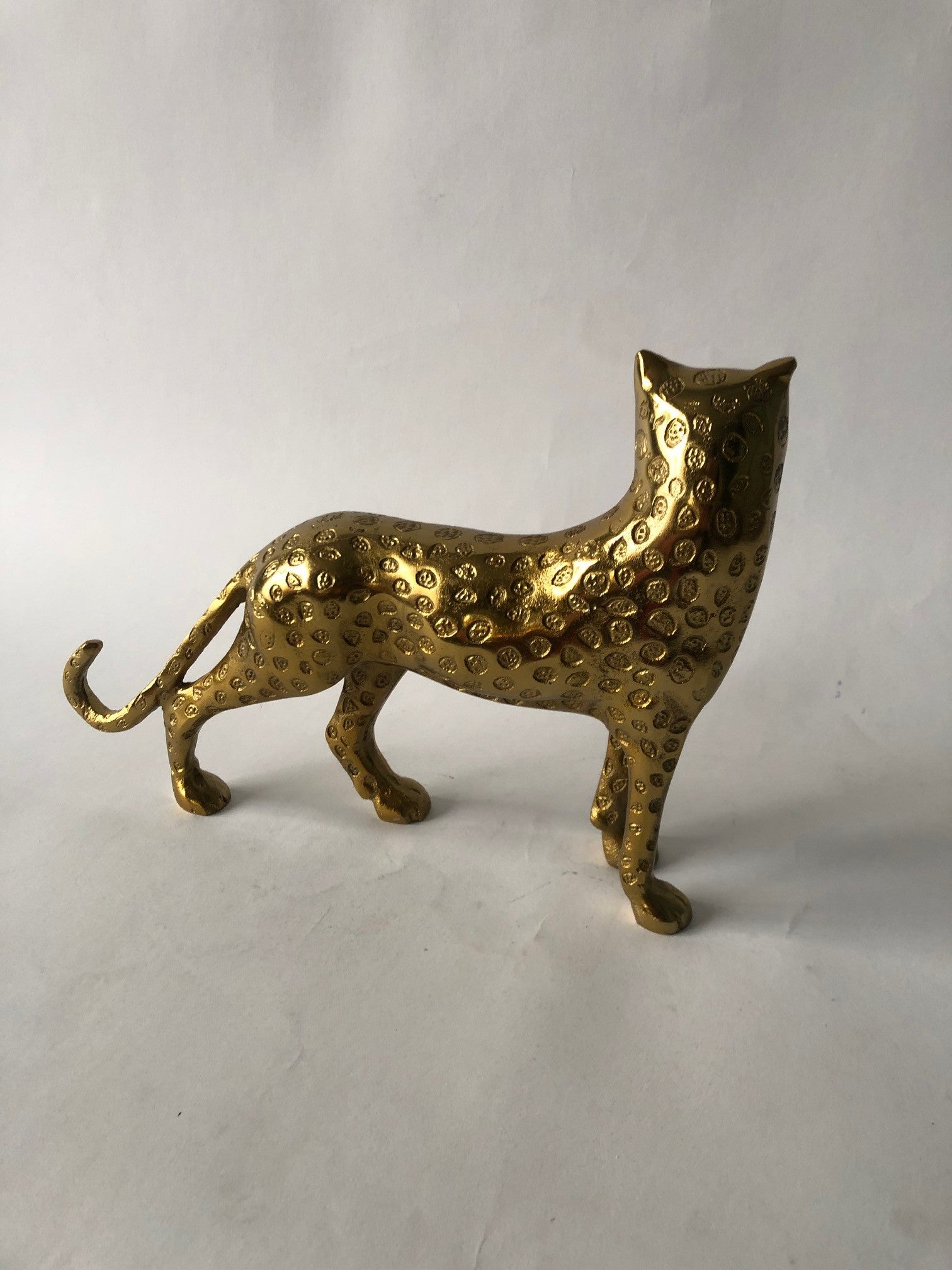 Goldener Leopard
