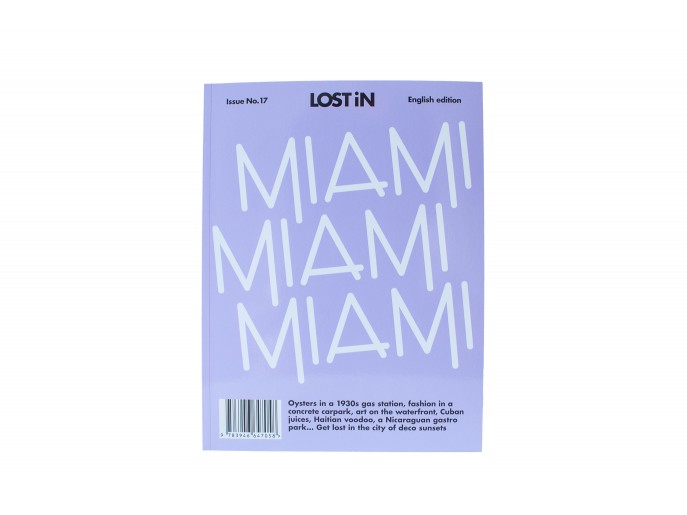 LOST iN Miami Buch